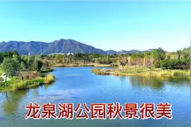 石家庄龙泉湖湿地公园，秋景非常美，一副副优美画卷，令人陶醉！视频封面