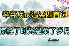 辛弃疾最温柔浪漫四首词，惊艳了时光温柔了岁月，定能温暖到你！视频封面