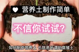 营养土的简单制作与发酵过程视频封面