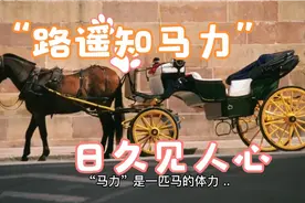 “路遥知马力日久见人心”以前都理解错了 原来是这个意思视频封面