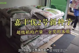 全国金奖超级稻品种嘉丰优2号新种子进仓库，好吃又高产，抗倒强视频封面