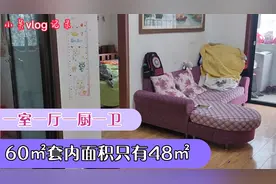 打工小伙，70万在武汉买房，60㎡房子套内面积48㎡，公摊面积大吗