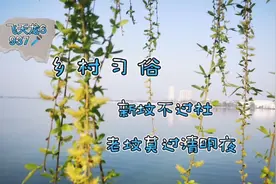 乡村习俗：新坟不过社，老坟莫过清明夜视频封面
