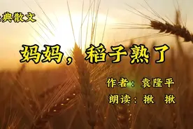 经典散文朗诵《妈妈，稻子熟了》作者袁隆平，感人至深地怀念妈妈视频封面