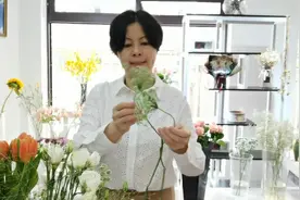 设计分享：郁金香花束包装教程