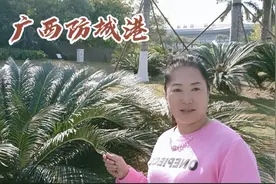 居住在广西防城港的东北人说，这里山好水好空气好，真的是这样吗视频封面