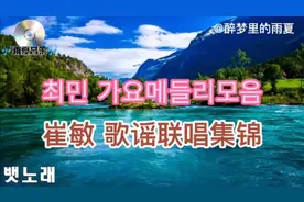 韩国音乐: 최민 가요 메들리 모음(崔敏 歌谣联唱集锦)