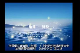 汇算清缴（年报）专项用途财政性资金纳税调整明细表A105040说明视频封面
