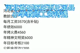 河北省石家庄市正定县小学教师工资待遇
教龄20年视频封面