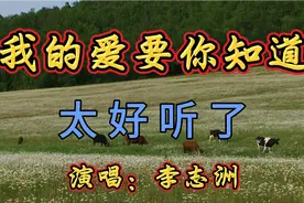 李志洲一首《我的爱要你知道》我要做你的依靠，一生一世对你好.视频封面