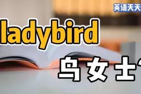 lady是“女士”，bird是“鸟”，英语 ladybird 是什么意思？视频封面