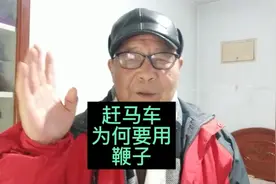 赶马车为何要用鞭子？听老任讲民间传说故事视频封面