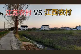 都说江苏农村比江西农村富，小伙实拍真实的苏南农村，太让人意外视频封面