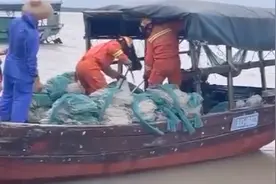海南洋浦消防员轻松抓获偷渡大蟒蛇视频封面