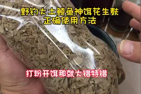 野钓大土鲮鱼之灵魂饵料花生麸正确使用方法！