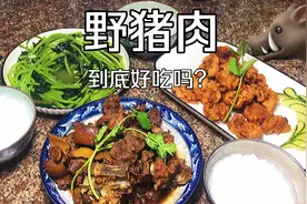 野猪肉你吃过吗？50买了2斤野猪肉做一个红焖野猪肉，肉香四溢视频封面