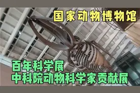 国家动物博物馆 百年科学展 中科院动物科学家贡献展视频封面