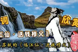 苏轼踏尽红尘，依然一笑春温，洒脱说“人生如逆旅，我亦是行人”视频封面