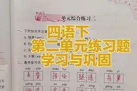 四年级语文下册：第二单元综合练习题讲解，学习与巩固