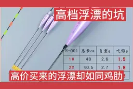 买来最贵的一支浮漂，却闲置不用，用实践告诉大家别步后尘，野钓