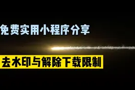 去水印工具与解除视频下载限制