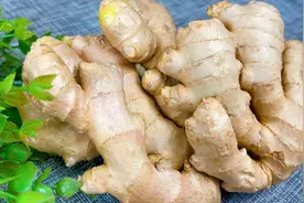 103岁老中医，教我天冷这样吃生姜，每天吃几片，暖手暖脚身体好视频封面