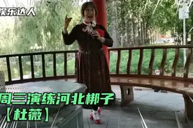 周三长安公园演练河北梆子【杜薇】自娱自乐！乐在其中！视频封面