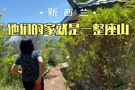 在新西兰过田园生活，养鸡养鱼种菜出海，这是你想要的生活吗？视频封面