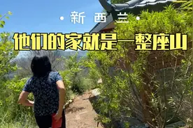 在新西兰过田园生活，养鸡养鱼种菜出海，这是你想要的生活吗？视频封面