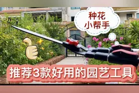 推荐3款好用的园艺工具视频封面