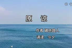 《原谅》，我决定原谅所有的过往，原谅所有与我背道而驰的人视频封面