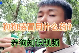 养狗知识～狗狗感冒多种用药方法分享