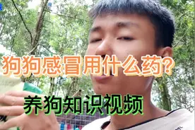 养狗知识～狗狗感冒多种用药方法分享