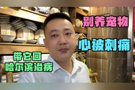 千万别带狗去西双版纳，老年人千万别去养老，为何看病要回哈尔滨