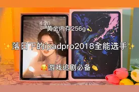 游戏追剧画画都可以的全能选手ipadpro2018真的爱了