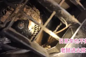 开空调有异响，老鼠在里面搭窝，自己动手清理半小时省下300块。视频封面