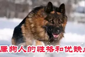 属狗人的性格和优缺点视频封面