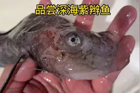 来自于深海的紫辫鱼，味道如何呢？视频封面