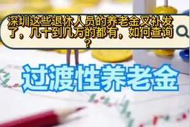 深圳这些退休人员的养老金又补发了，多的有几万，如何查询明细？视频封面