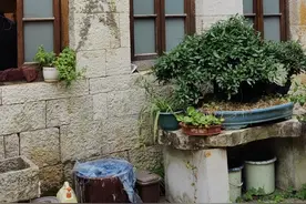 旅途愉快（安顺）视频封面