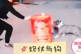 话说 狗与炮 的故事视频封面