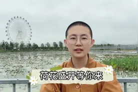 那些不该想的多想，被称为妄想，除了徒增烦恼，再无用处。视频封面
