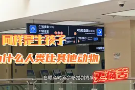 同样是生孩子，为什么人类比其他动物更痛苦视频封面
