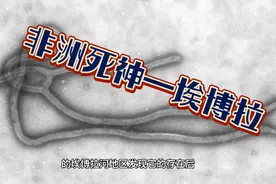 最恐怖的病毒—埃博拉视频封面