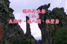 湖北神农架——天际岭•迷人埫•板壁岩