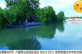 八路军山东纵队成立 共计2.5万人（江扬集团465）视频封面