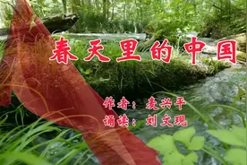 《春天里的中国》 诵读：刘文现（以艺抗疫 以声报国）视频封面
