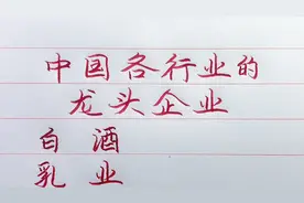 中国各行业的龙头企业！了解一下吧！视频封面