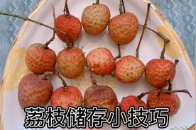 荔枝直接放冰箱里容易坏吗？和水果店老板学了一招，放10天都不坏