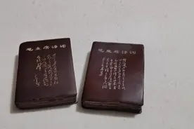 毛主席诗词，无限风光在险峰，天若有情天亦老，人间正道是沧桑视频封面